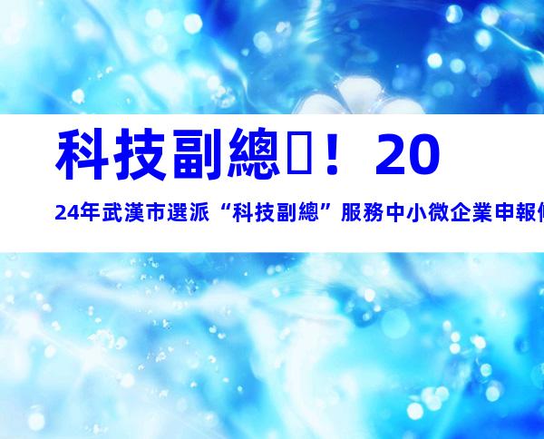 科技副總！2024年武漢市選派“科技副總”服務中小微企業申報條件、選派程序